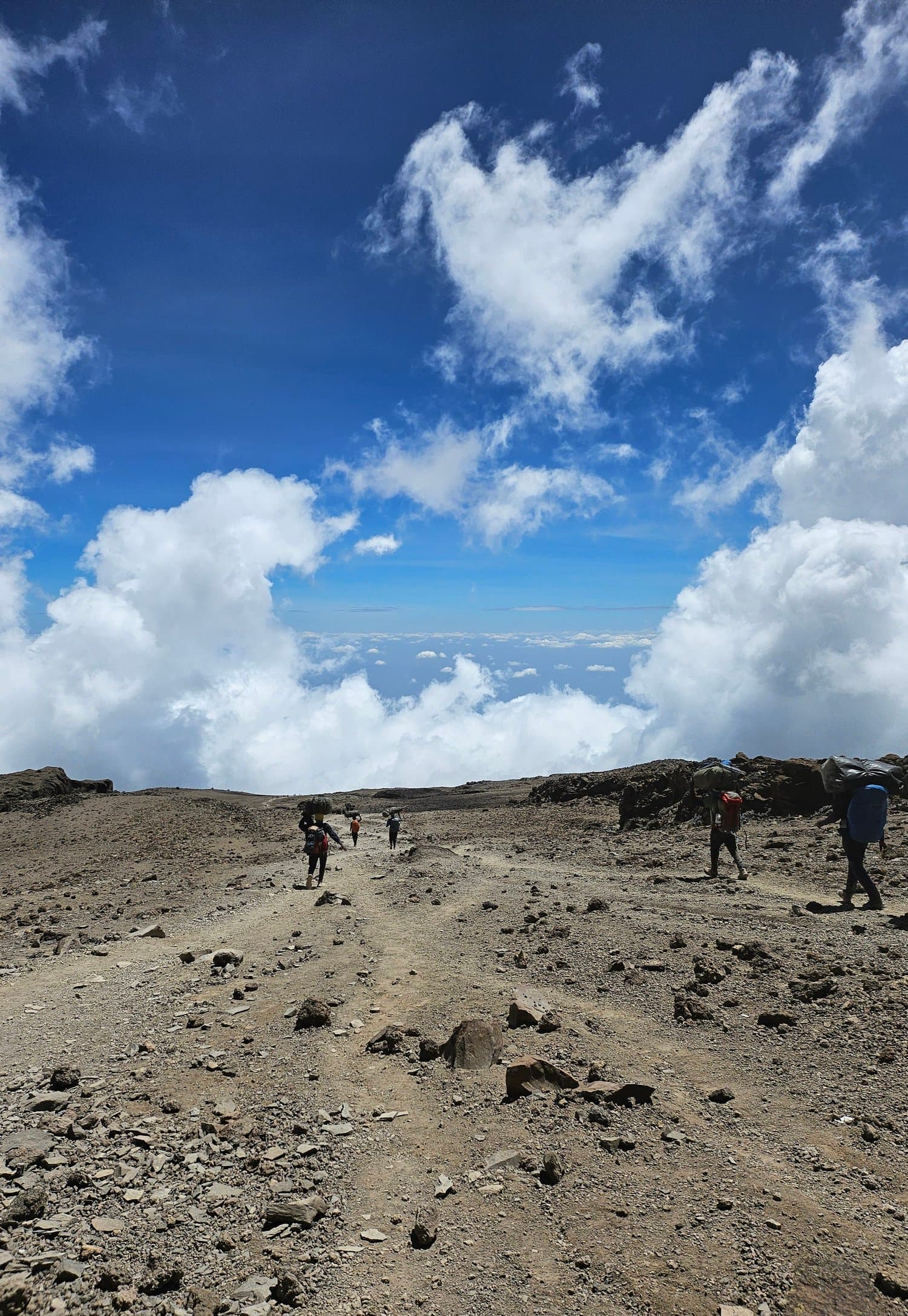 Kilimanjaro trek photo